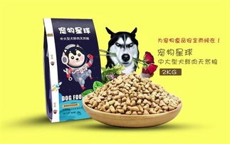 宠业新风向 从米多多猫粮到地域品牌的市场布局与加盟观察
