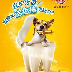 《宠物食品 从生存口粮到爱的专属符号》